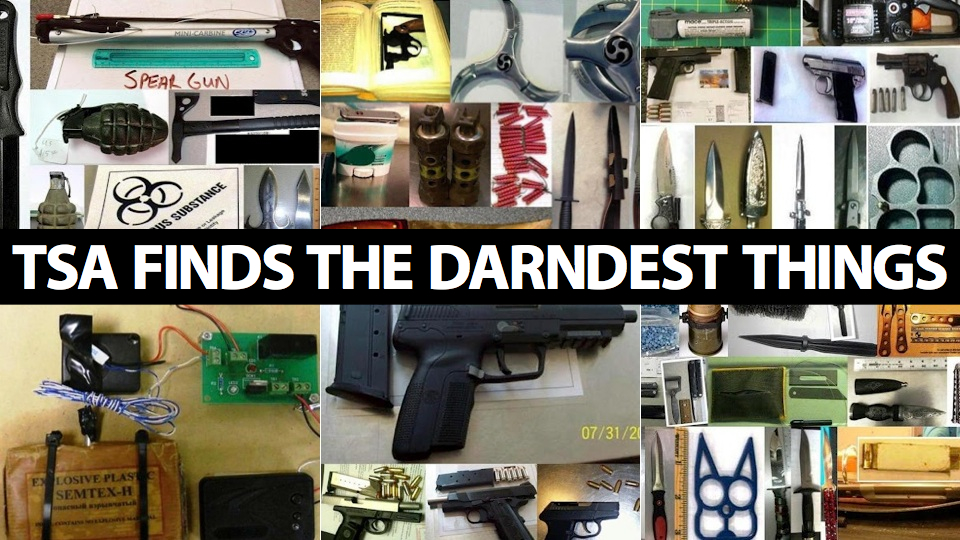 Here Are the Crazy Things the TSA Has Found in 2012: Gassed Up Chainsaws, Explosive Cannonballs, Bear Mace and More [Tsa]
