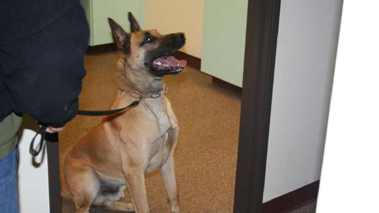 Police raising funds to replace beloved K-9