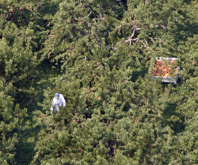 Drought not the only thing killing crops in Utah