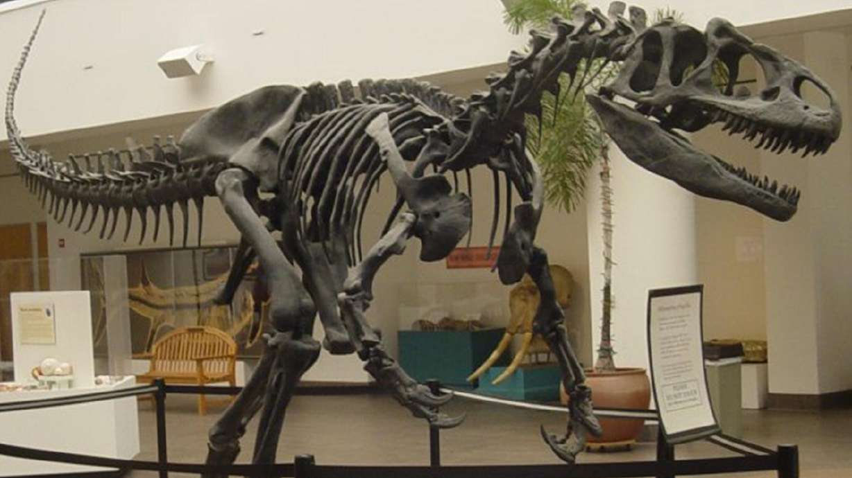 5 dinosaurs from Utah and why they are amazing