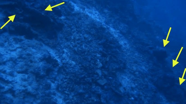 A Search Team May Have Finally Found Amelia Earhart After 75 Years [Amelia Earhart]