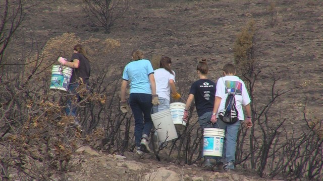 Girl Scouts, high school students reseed Rosecrest Fire burn scar