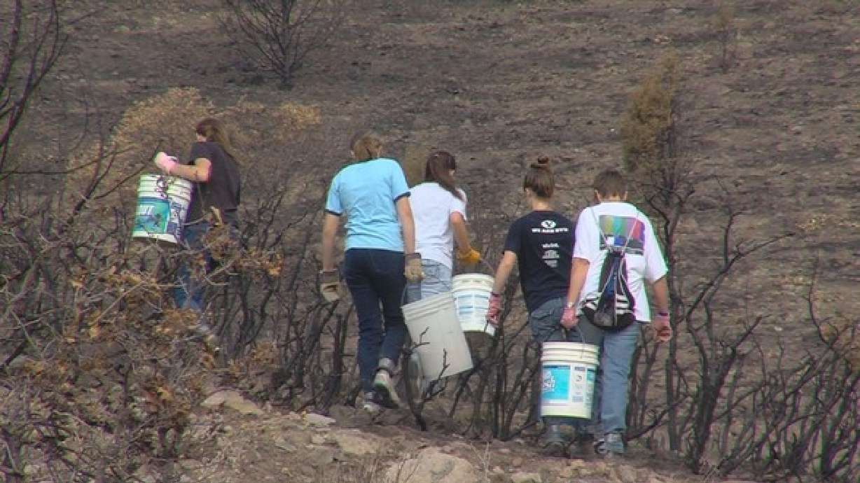 Girl Scouts, high school students reseed Rosecrest Fire burn scar