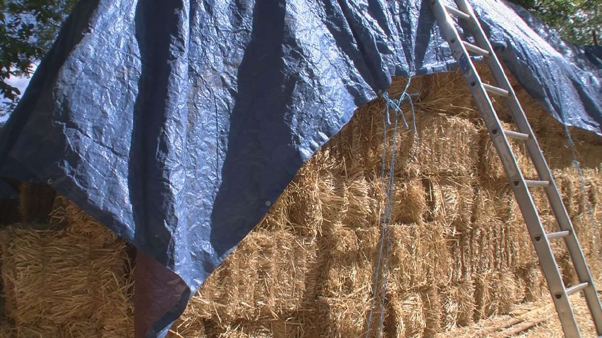 Expert: Idaho hay prices low until dairy market rebounds