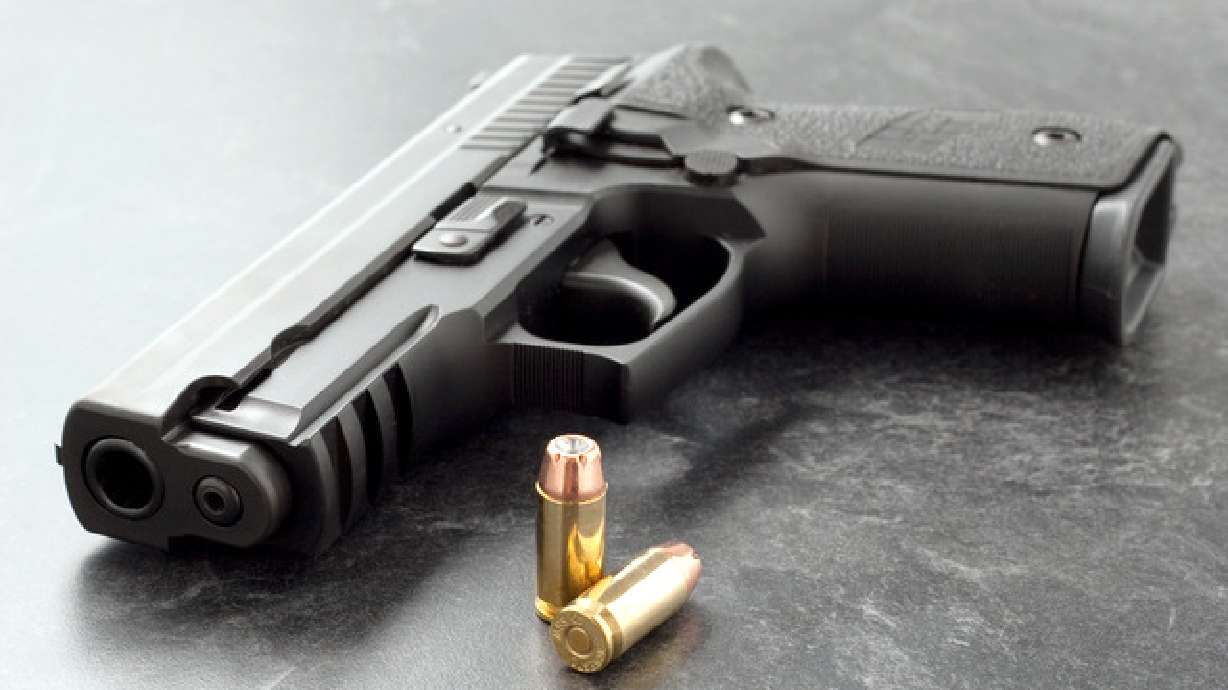 Website allows for 10-minute concealed carry permit renewal