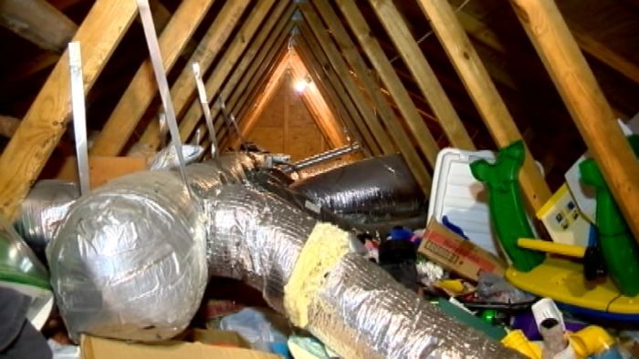 Uninvited guest living secretly in family's attic