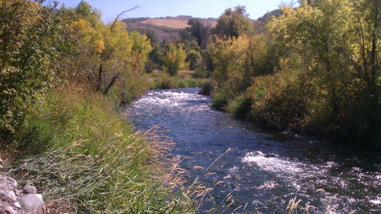 Category: Scenic Utah
Creator: Kash Woodward
Location: East Canyon
Description: fall is here
iWitness ID: 8777
iWitness Index: 1