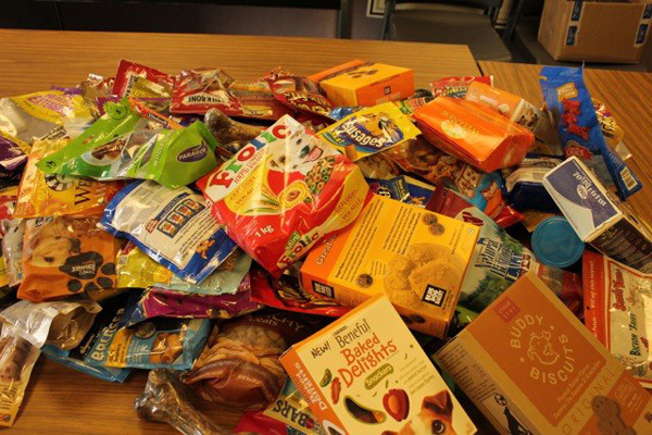 Boy fulfills dying dog's last wishes with 'Lick It List'