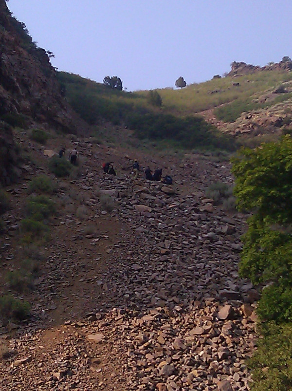 Climber injured in Ogden Canyon fall