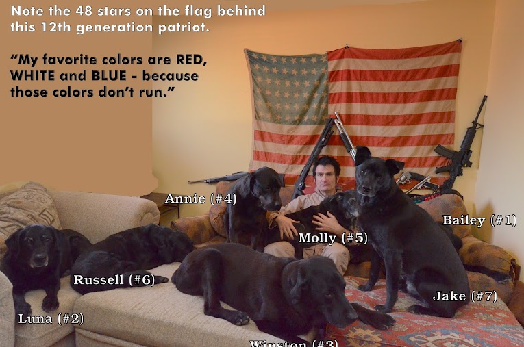 Proctor here sits in front of several weapons including a shotgun, semi-automatic rifle and handguns with his dogs, as well as a flag with only 48 stars on it.