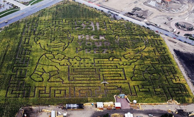 Pick Your Prez: Corn maze features Romney, Obama 