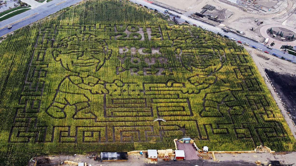 Pick Your Prez: Corn maze features Romney, Obama