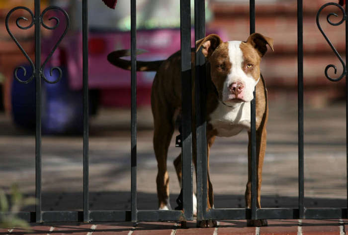 (Photo Kristin Murphy, Deseret News)