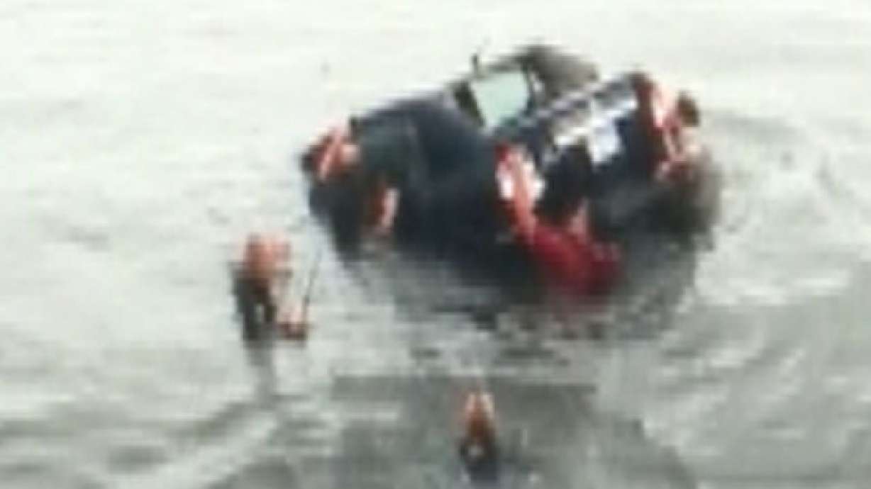 Good Samaritans jump into harbor to save elderly woman