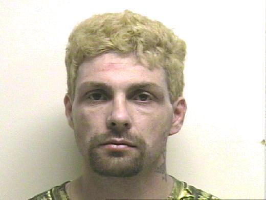 Man pleads guilty in assault that turned deadly