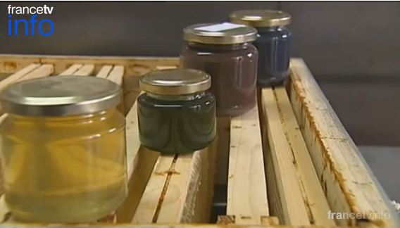 M&M's have French bees producing blue, green honey
