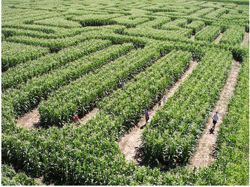 6 spooky attractions that won't keep your kids up at night