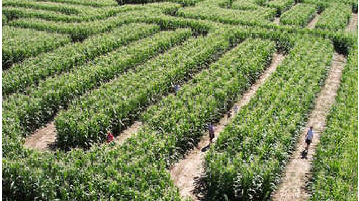 6 spooky attractions that won't keep your kids up at night