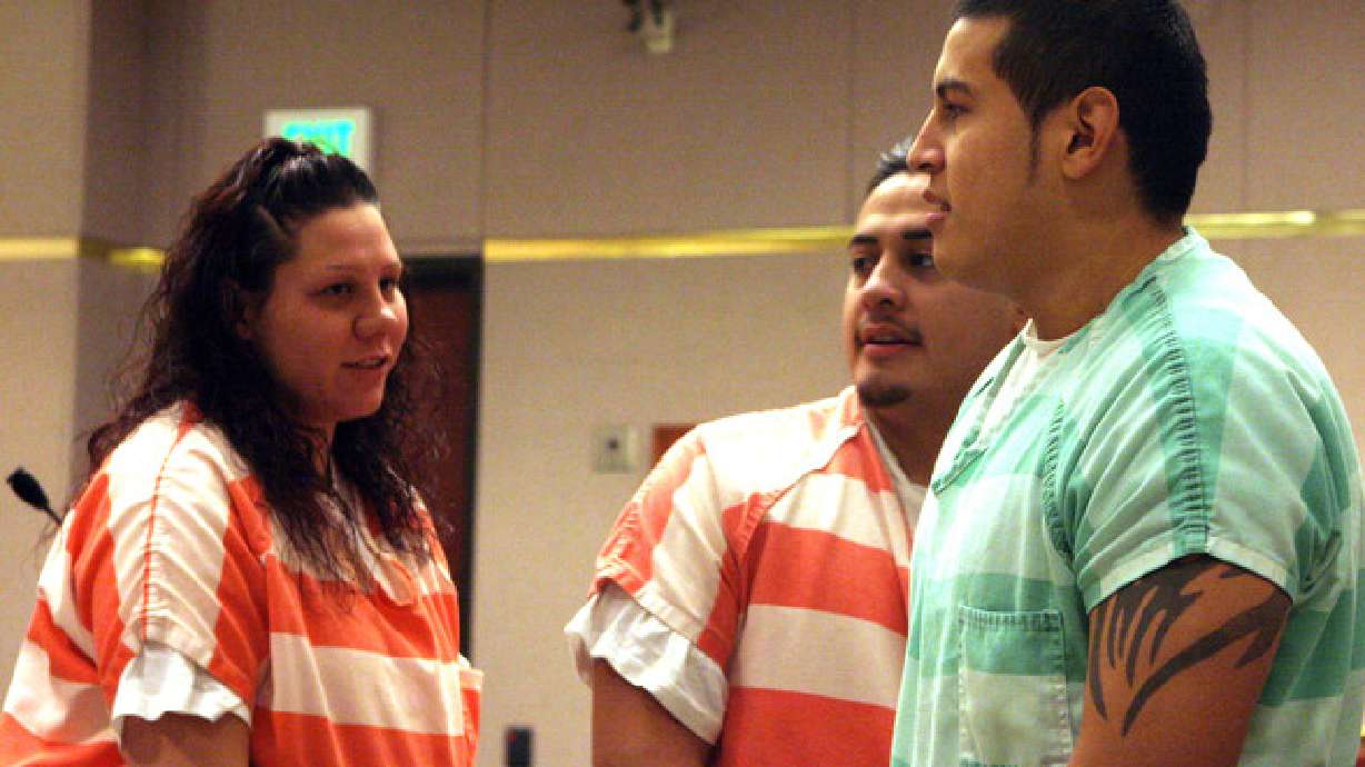 Brothers plead guilty in June 2011 killing