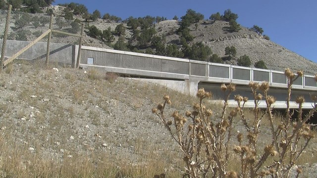 New structures allowed 300 deer to cross roads safely this year