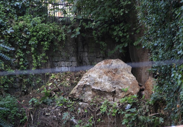 Cat chase leads to discovery of ancient Roman ruins
