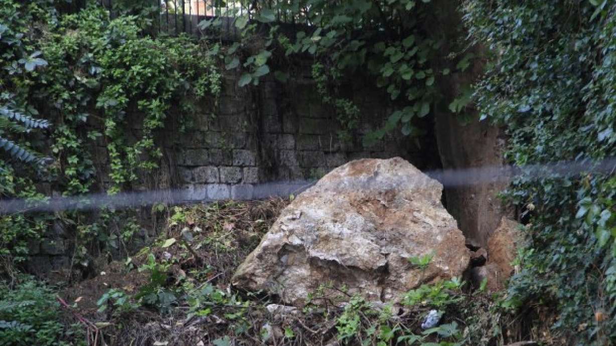 Cat chase leads to discovery of ancient Roman ruins