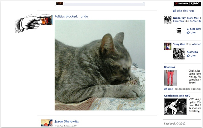 Chrome app replaces Facebook politics with cute kitties