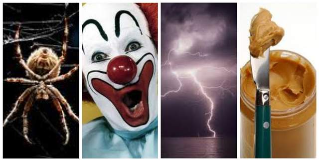 10 (un)common phobias