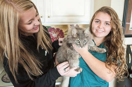 Cat, family reunited 17 months after Joplin tornado
