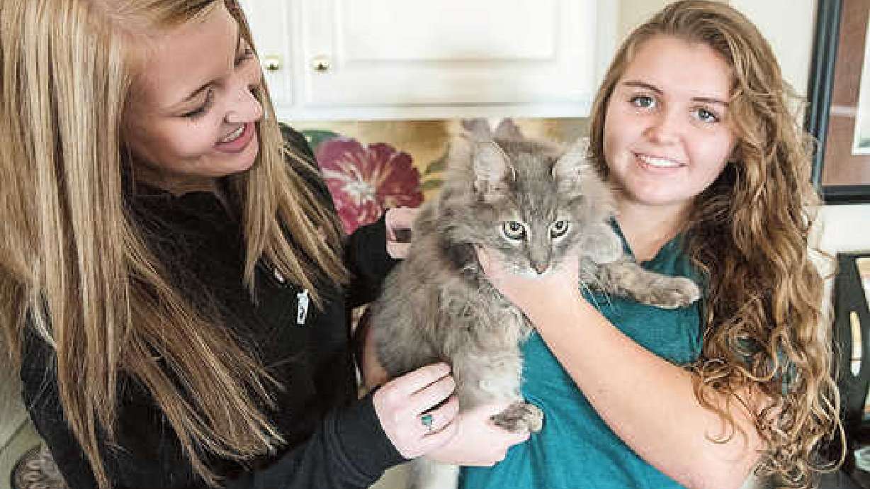 Cat, family reunited 17 months after Joplin tornado