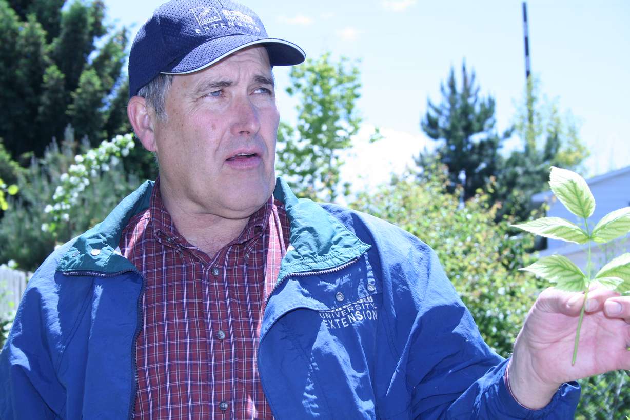 Longtime KSL 'Greenhouse Show' host Larry Sagers dies