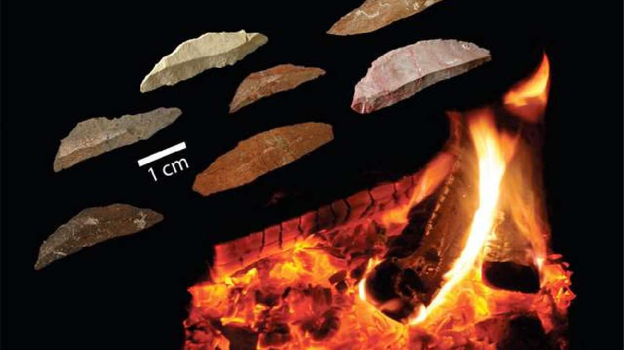 Ancient weapons discovered show early humans' smarts