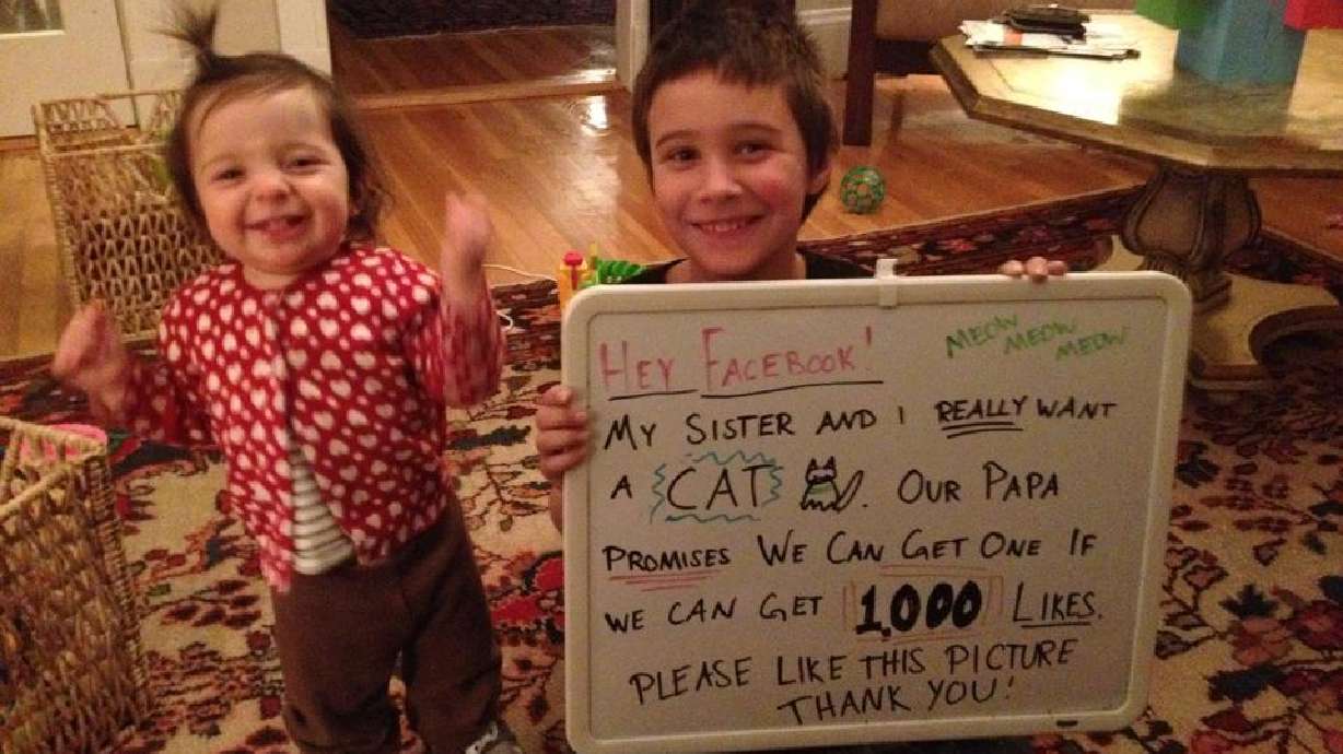 Boy's Facebook plea for cat earns him 115K likes, new pet