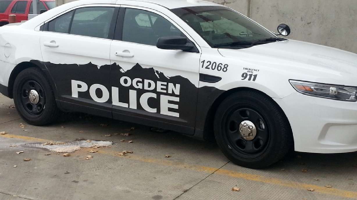 Ogden police investigating alleged 'animal cruelty' incident