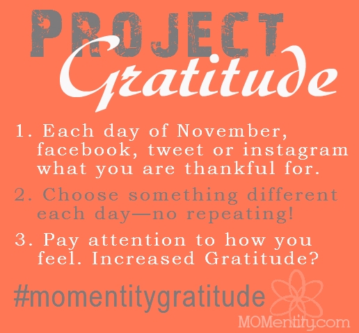 Project Gratitude sponsored by MOMentity.com (Photo: Nicole Carpenter, www.MOMentity.com)