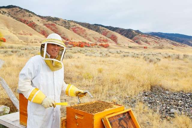 Quilts, bees and lip balm: Healing from the loss of a child