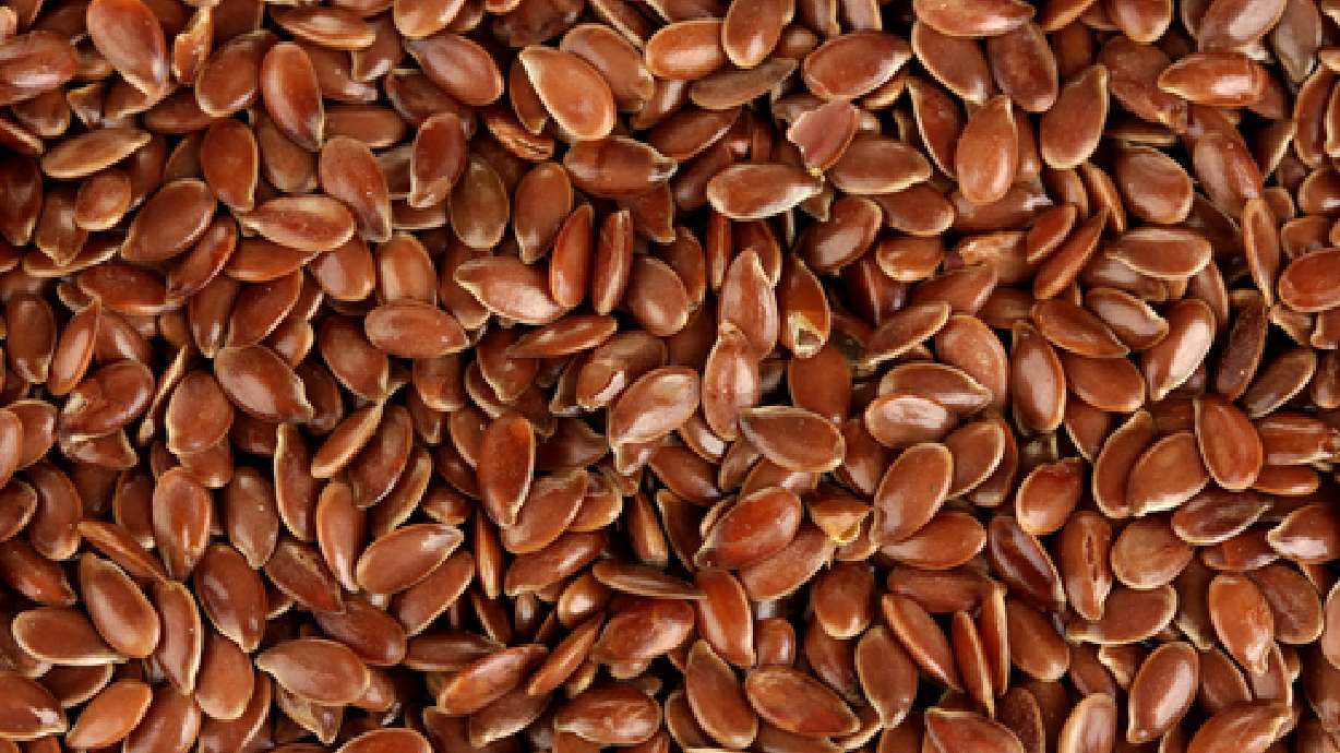 Collecting and Storing Seeds from Your Garden