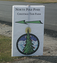 Utah-Grown Christmas Trees