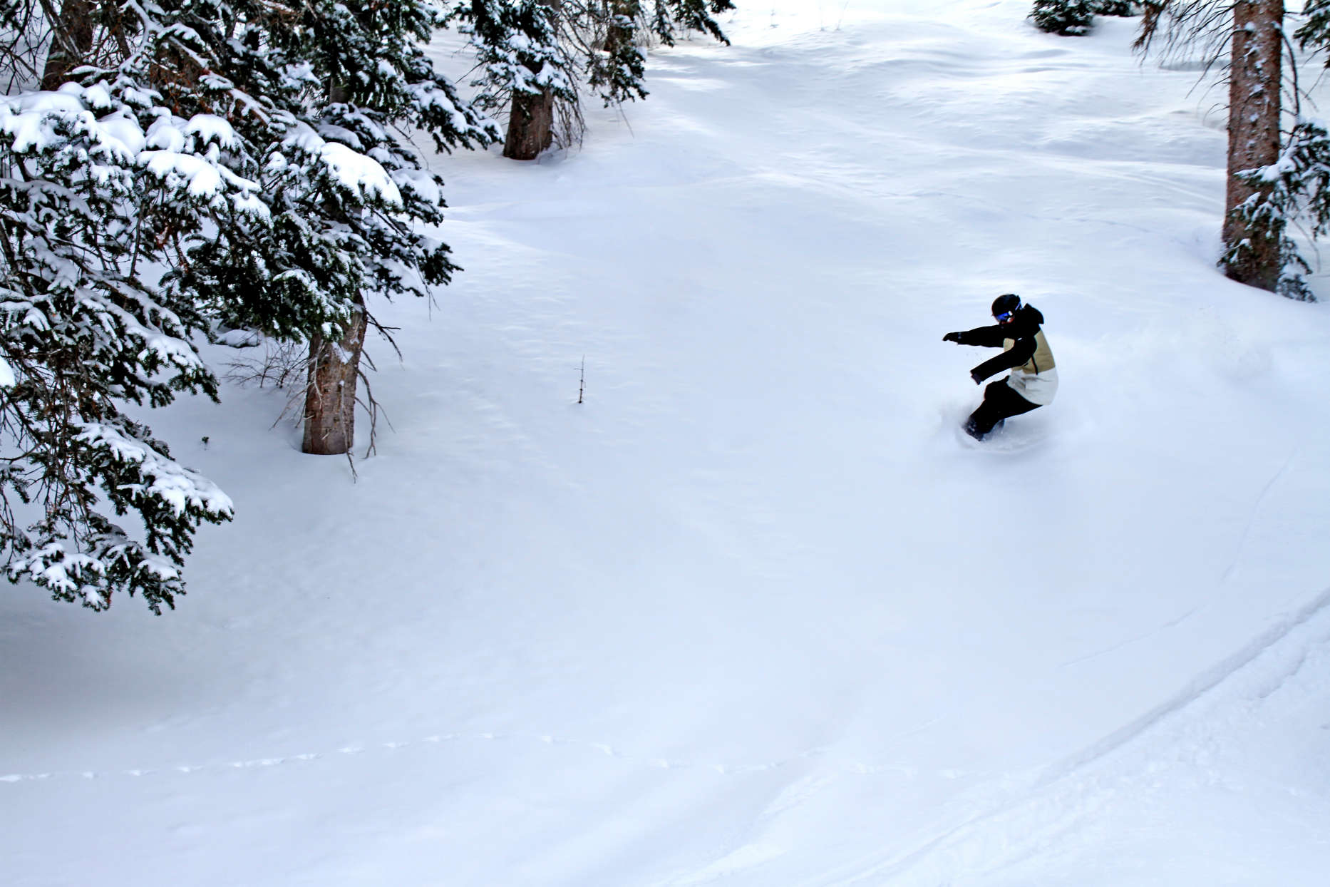 Powder Mountain sold for $40 million