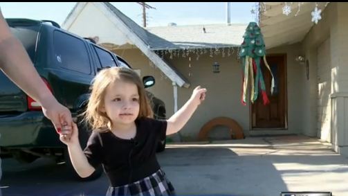 Cops save sick child's Christmas after Grinch steals decorations