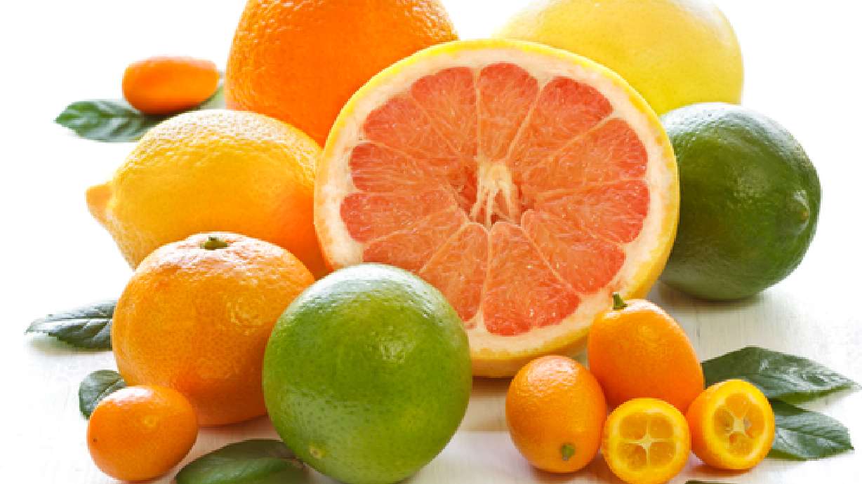 Citris Fruit in the Winter Season