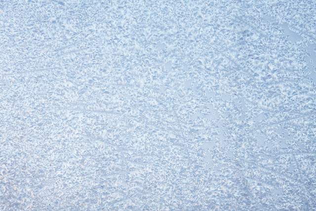 Woman dead after being stranded overnight in snowstorm