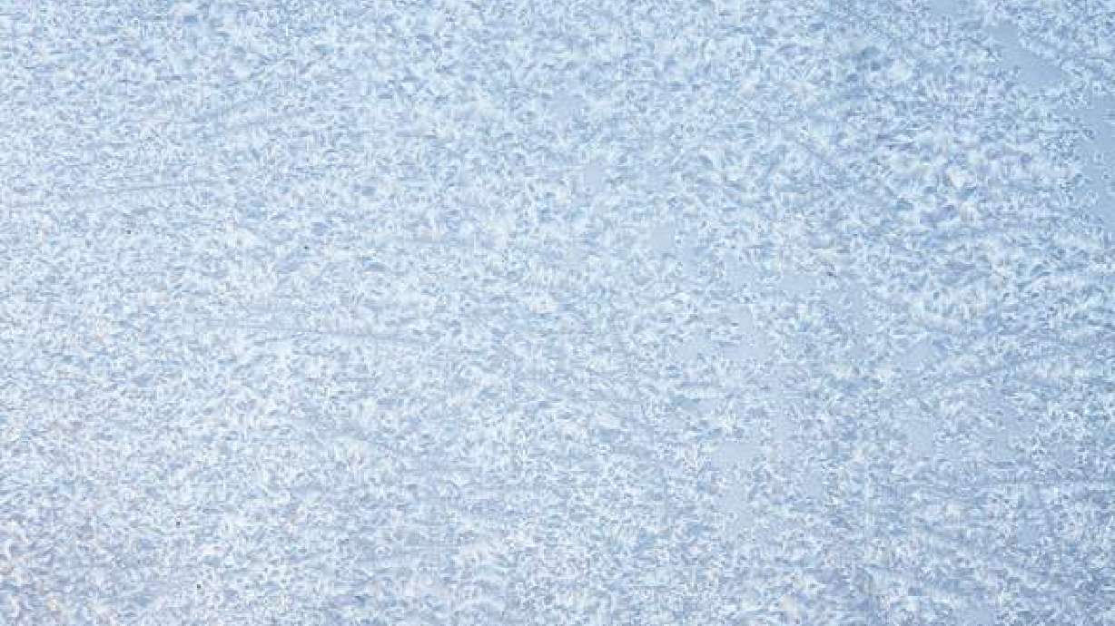 Woman dead after being stranded overnight in snowstorm