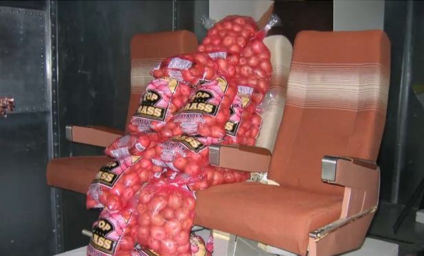 Boeing uses potatoes, not people, to improve airplane Wi-Fi