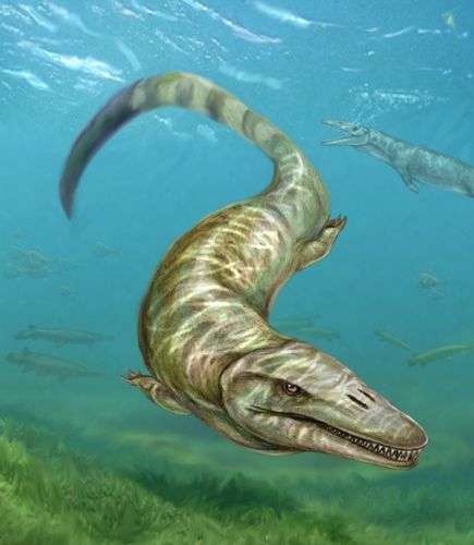 Ancient 'sea monster' discovered in Hungary