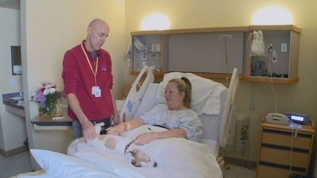 Dogs without front legs give theraputic visits to hospital patients