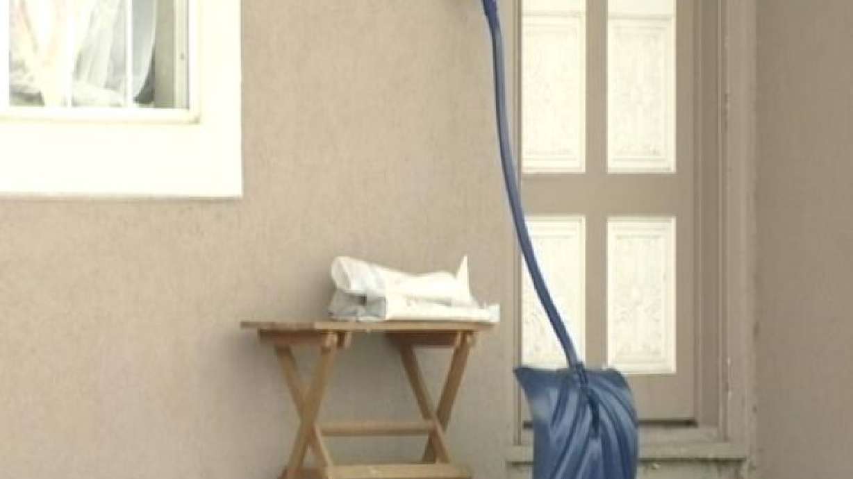 Men rob homes while claiming to help shovel snow