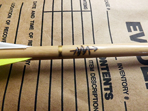 Officials looking for man who allegedly poached bull moose