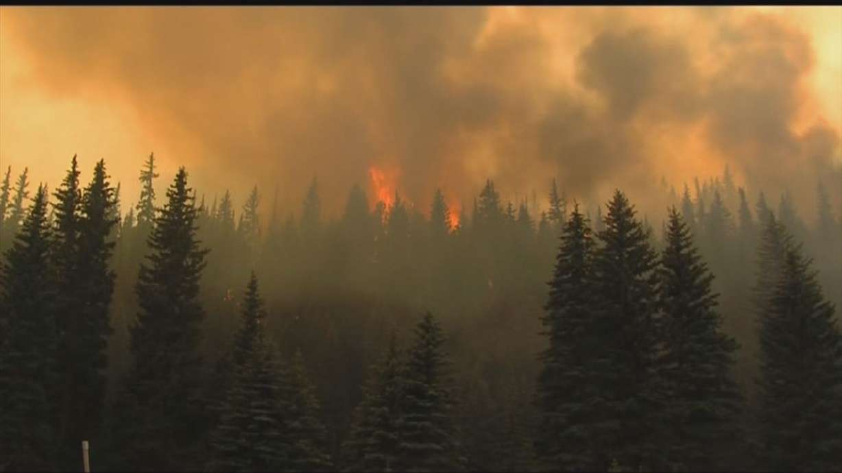 Almost 500,000 acres burned in 2012