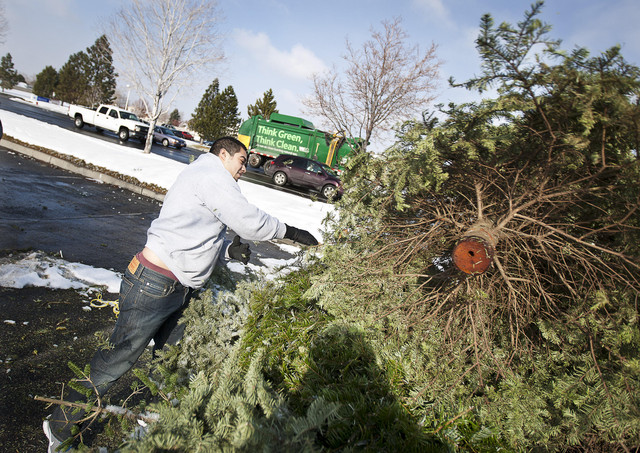 Cities offer curb-side pick up for old Christmas trees 